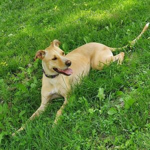 Meet your Posher, Cassandra